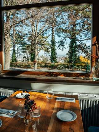 Mödlinger Kobenzl – Bild 2