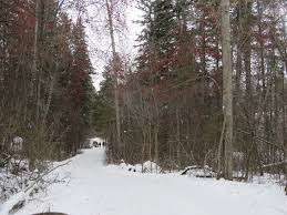 Kin Kanyon – Bild 6