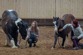 Animals For Kids – Bild 2