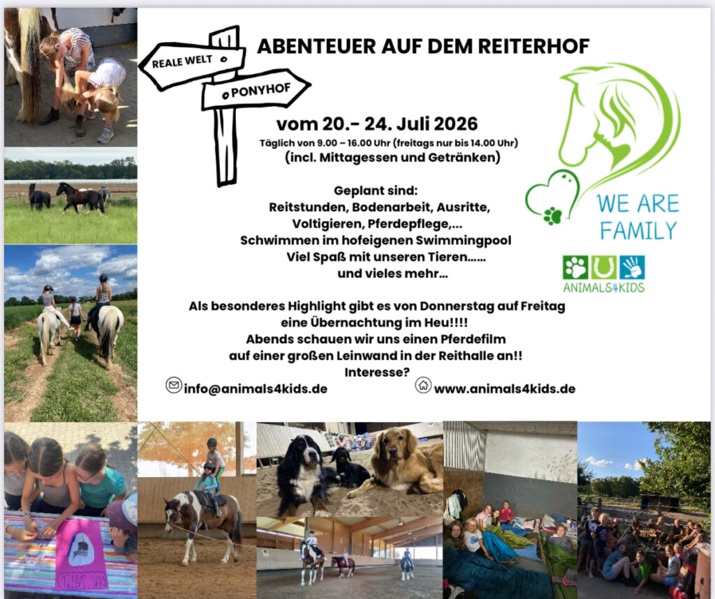 Animals For Kids – Bild 3