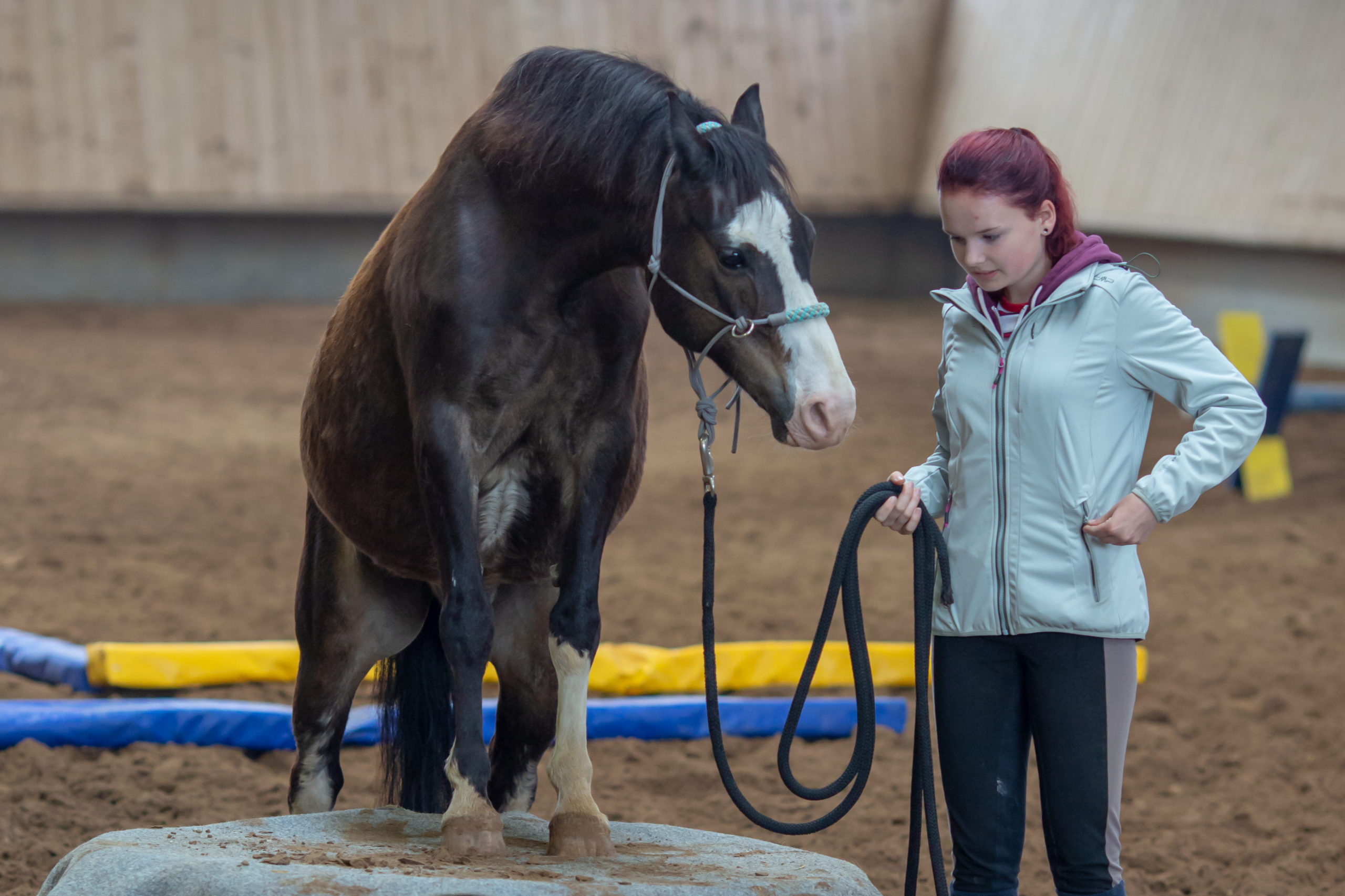 Animals For Kids – Bild 6