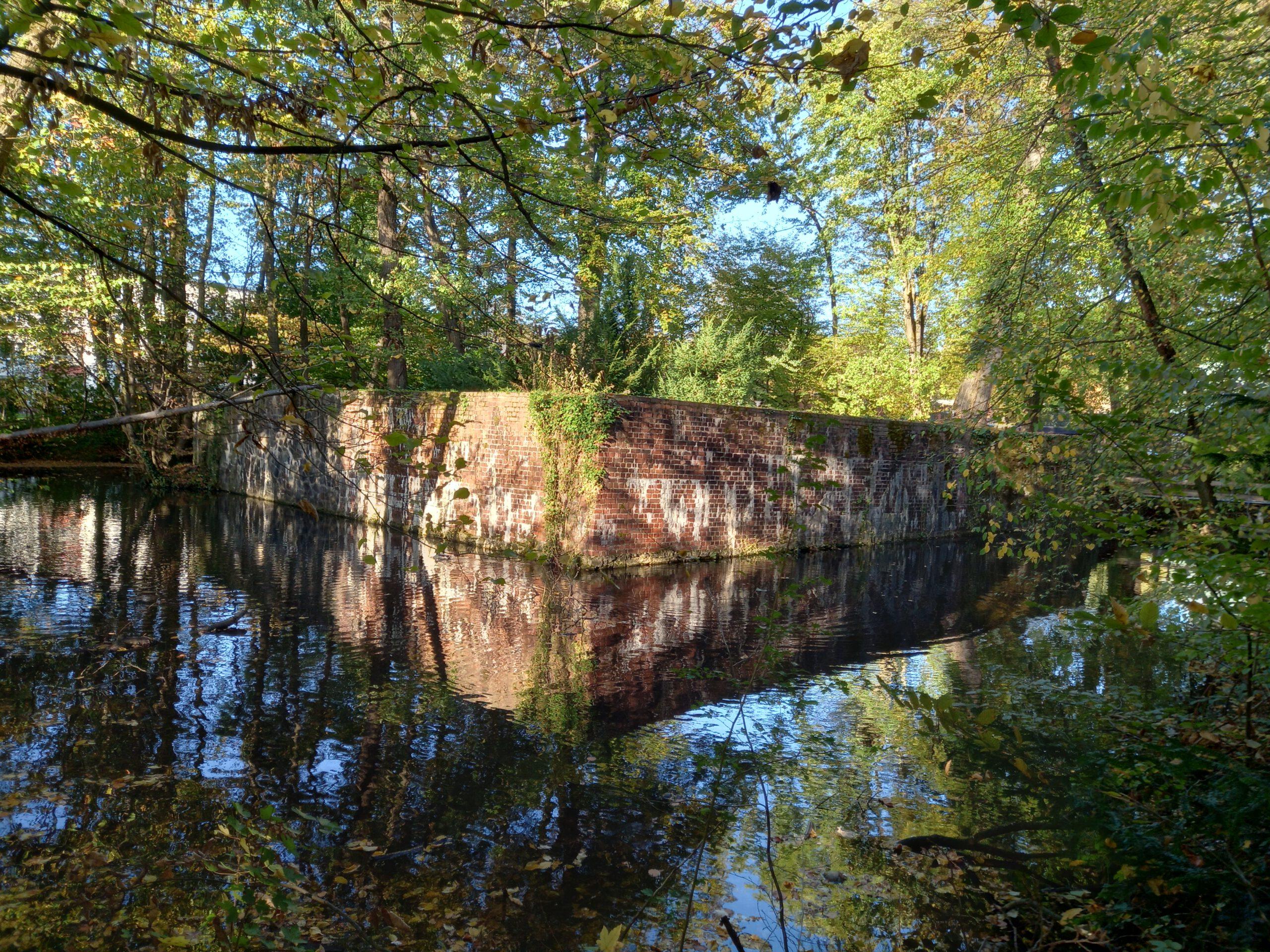 Waldbolzplatz Kippekausen – Bild 2