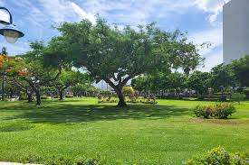 McCallum Park – Bild 3