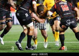 McCallum Park – Bild 6