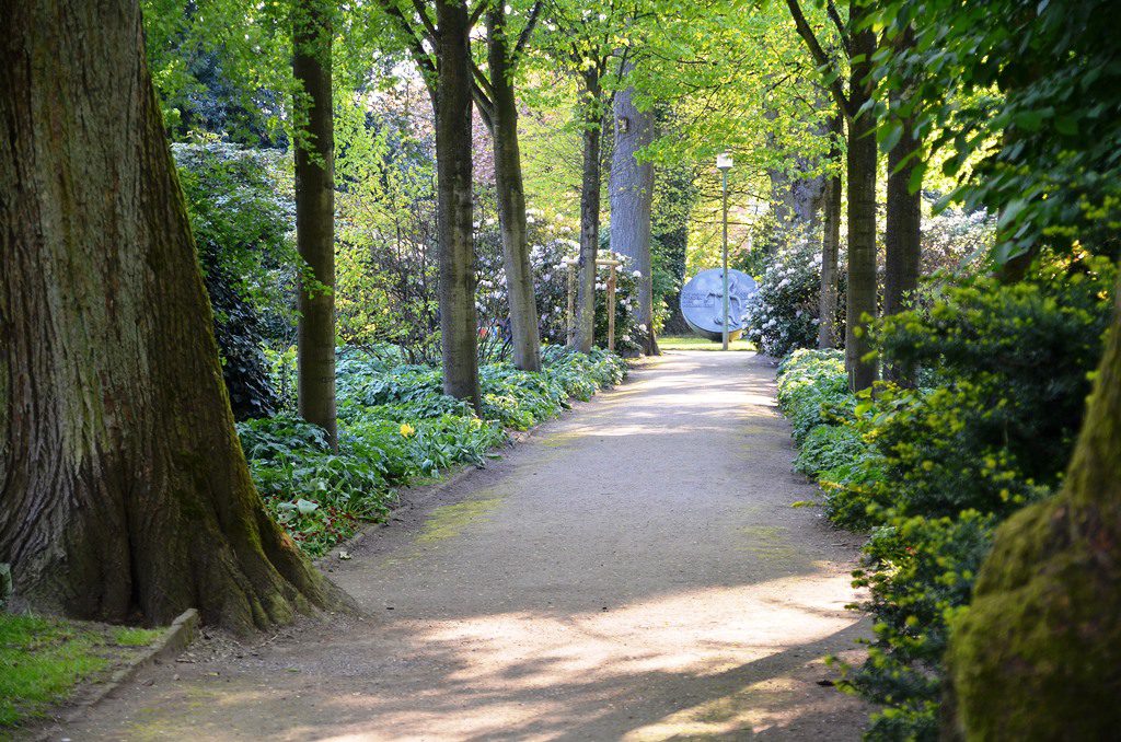 Walder Stadtpark – Bild 4