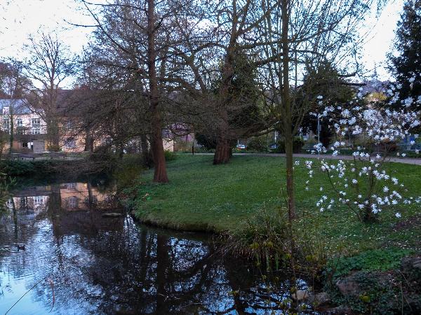 Watthaldenpark – Bild 4