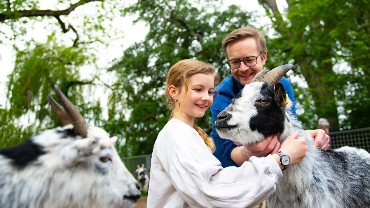 Mainau-Bauernhof mit Streichelzoo – Bild 1
