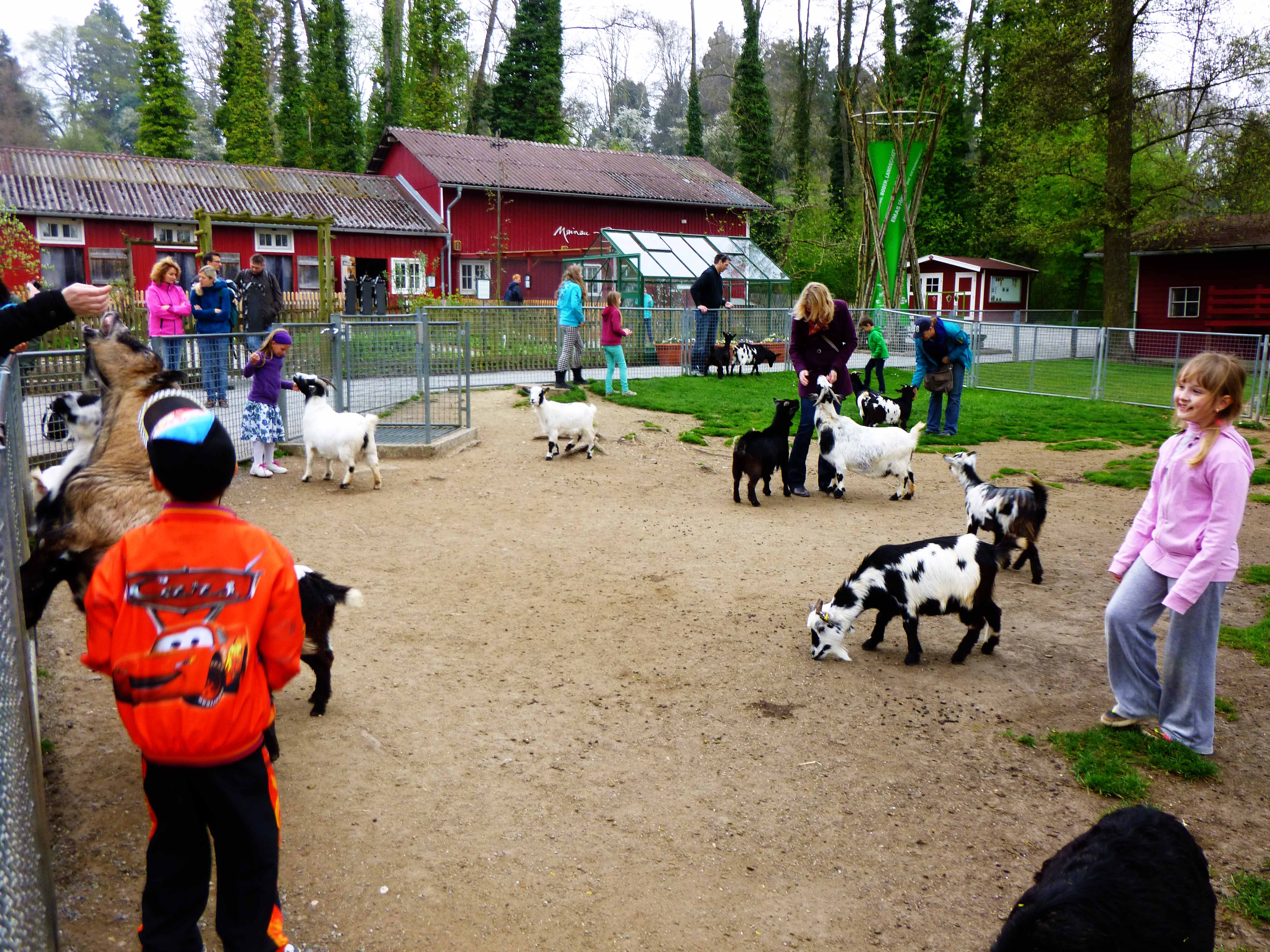 Mainau-Bauernhof mit Streichelzoo – Bild 3