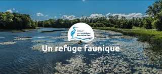 Parc de la Rivière-des-Mille-Îles – Bild 4