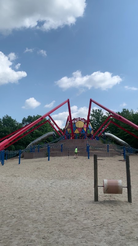 Spielspinne – Bild 1