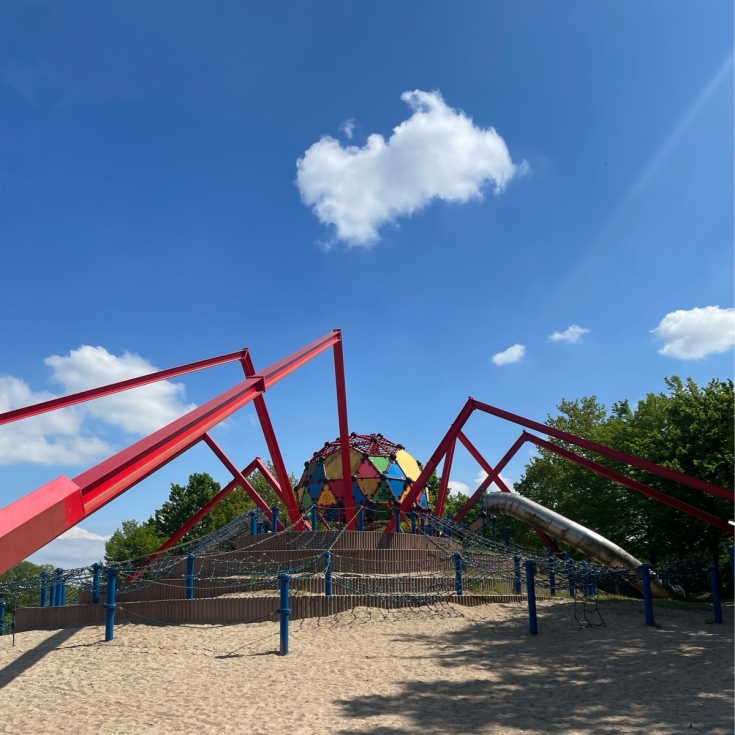 Spielspinne – Bild 5