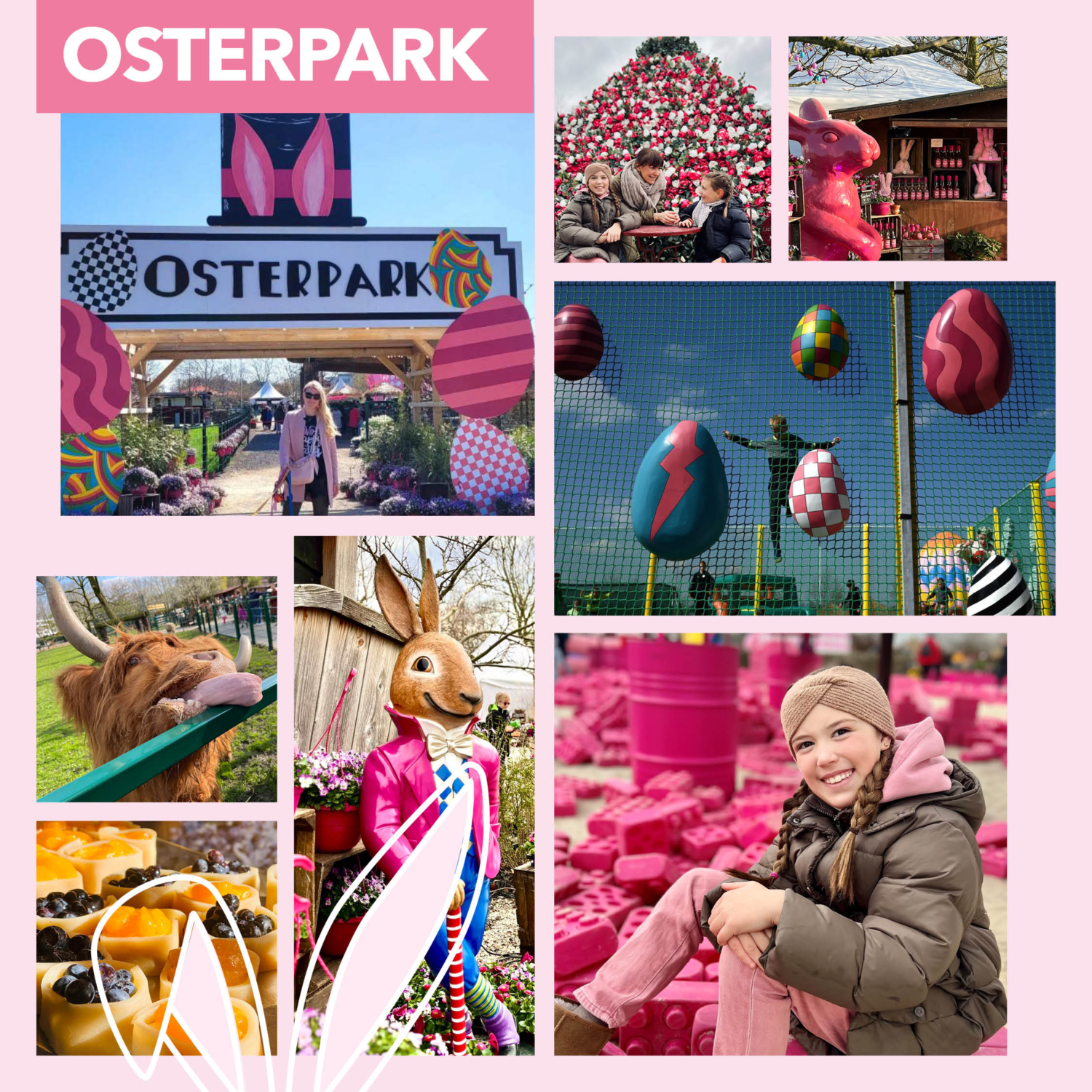 Gertrudenhof Obst- & Gemüsescheune (Bauernmarktgelände) – Bild 6