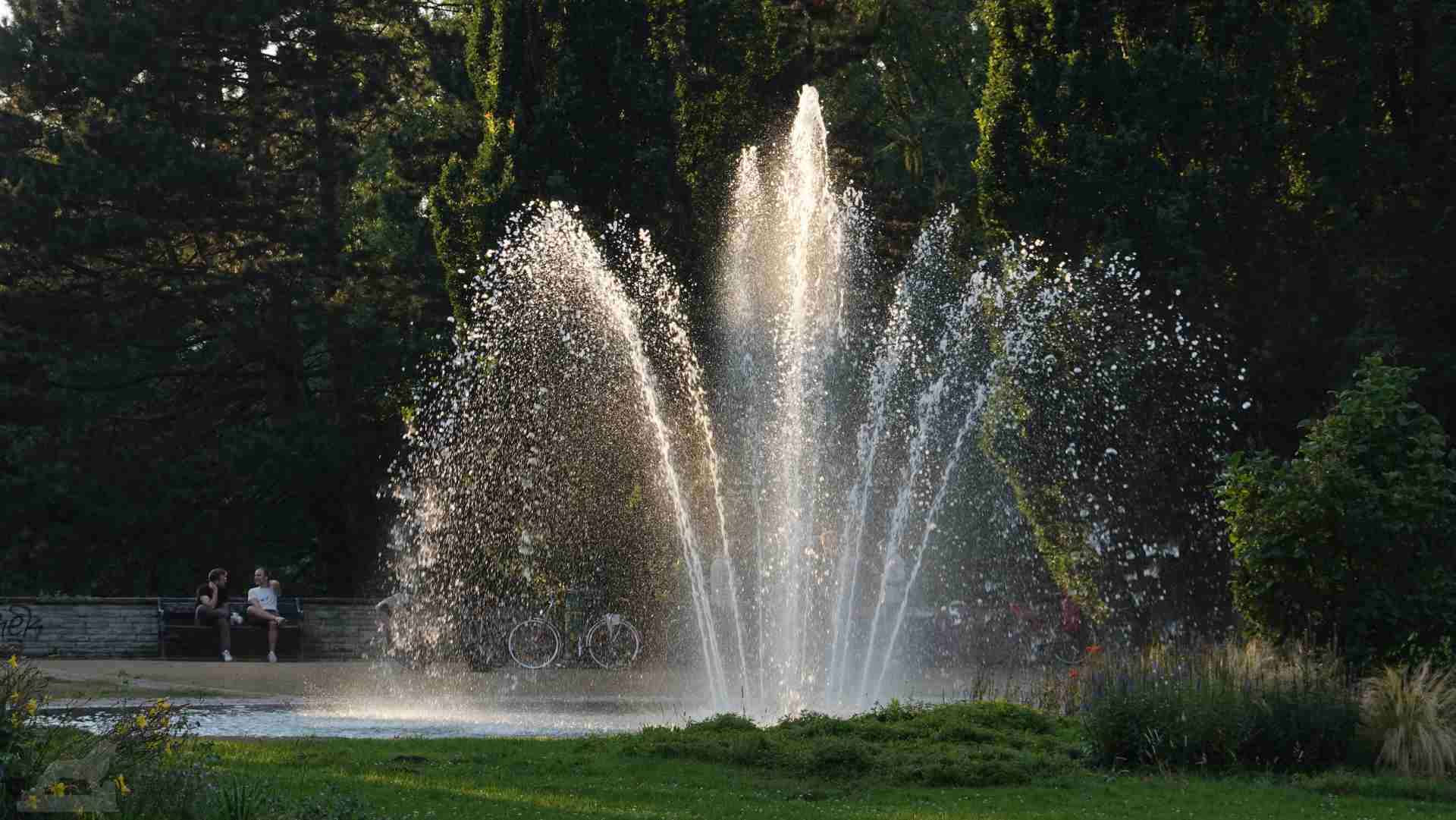 Inselwall-Park – Bild 6