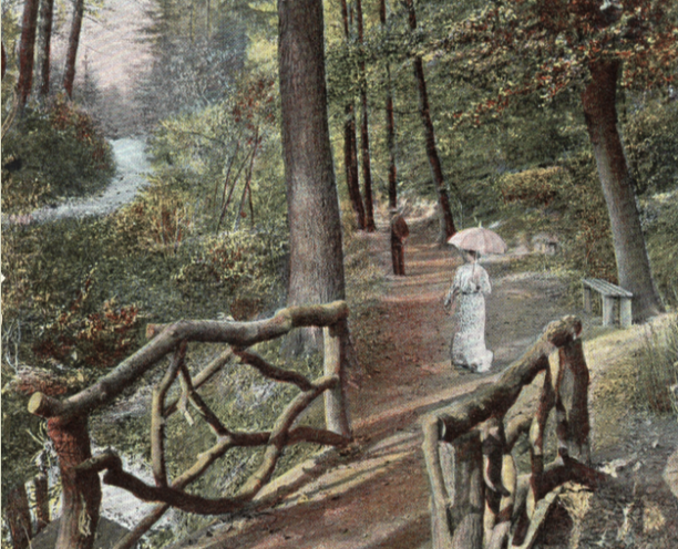 Damwildgehege Bad Oeynhausener Schweiz – Bild 5