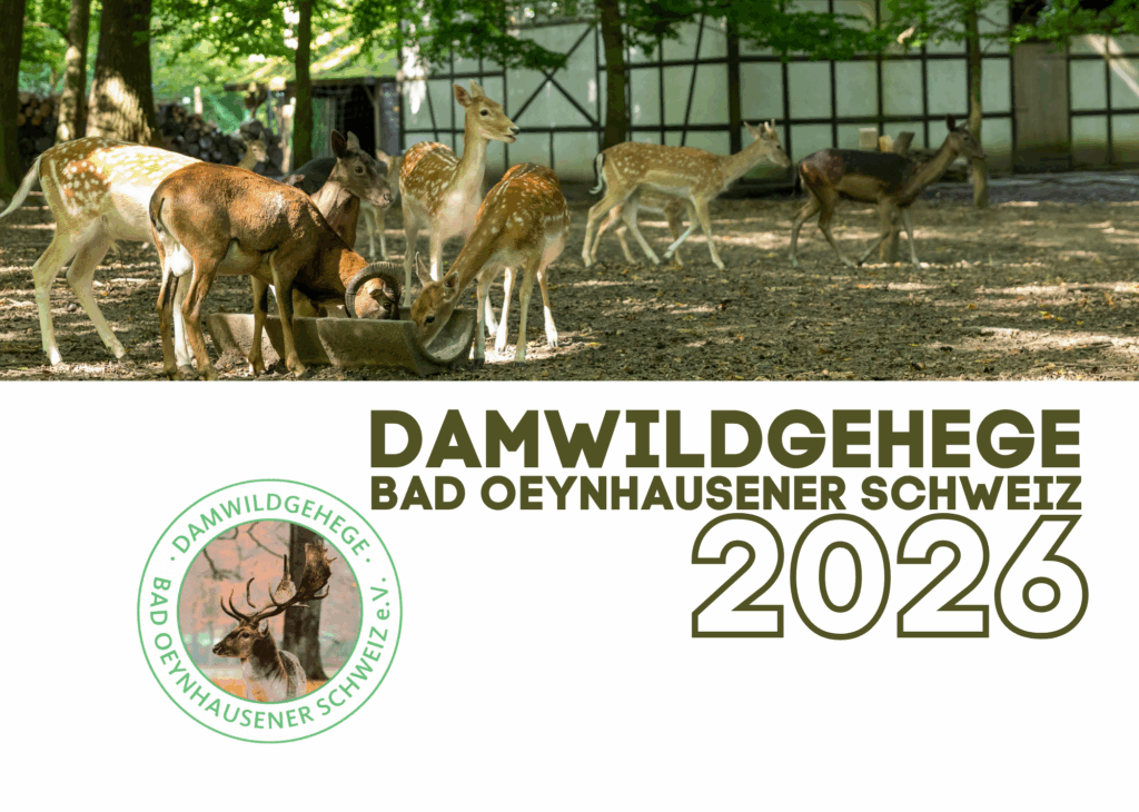 Damwildgehege Bad Oeynhausener Schweiz – Bild 6
