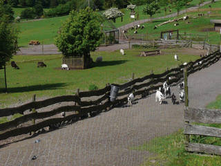 Wildpark Freisen – Bild 2