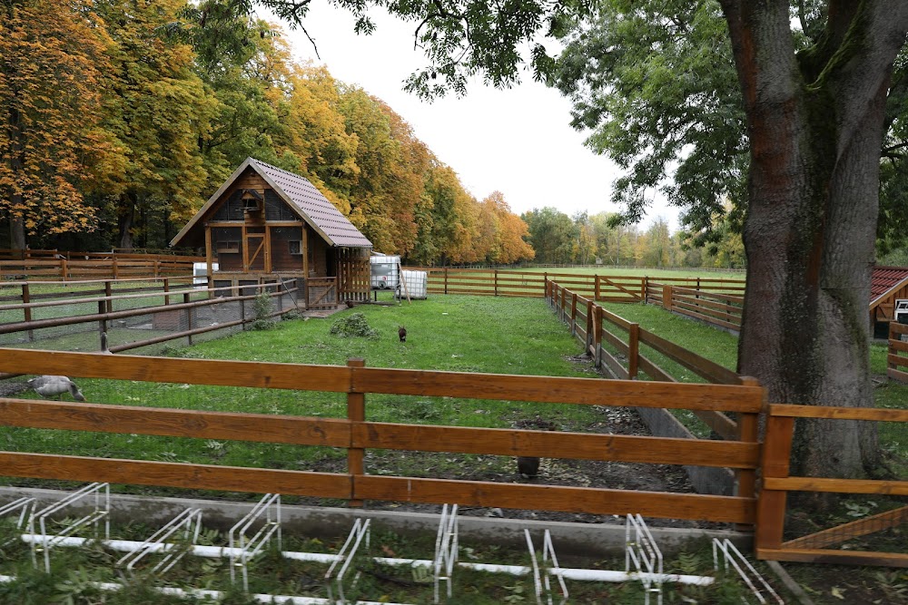 Kutsch- und Planwagenfahrten Rüdiger Hasenbalg, Waldcafé Jungborn – Bild 1