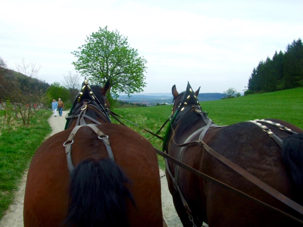 Kutsch- und Planwagenfahrten Rüdiger Hasenbalg, Waldcafé Jungborn – Bild 4