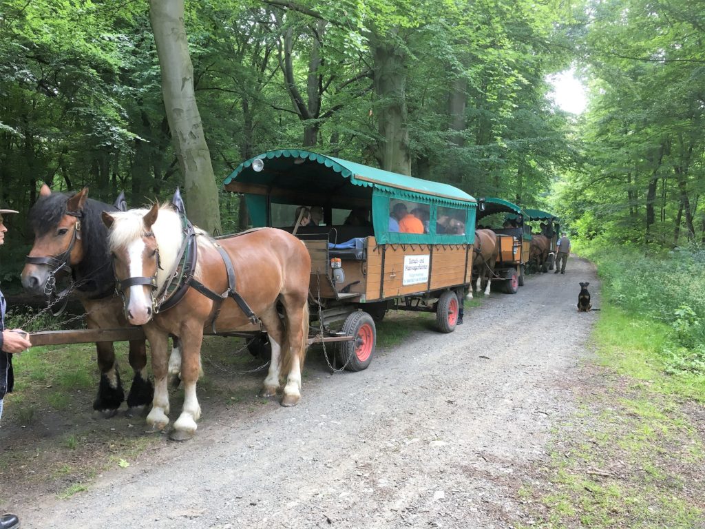 Kutsch- und Planwagenfahrten Rüdiger Hasenbalg, Waldcafé Jungborn – Bild 5
