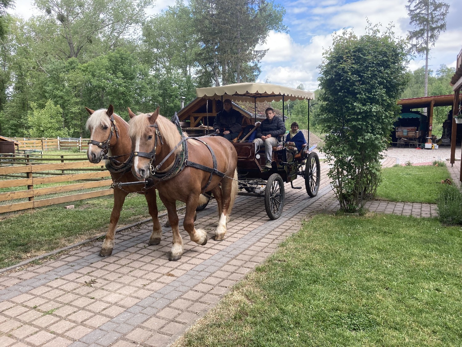 Kutsch- und Planwagenfahrten Rüdiger Hasenbalg, Waldcafé Jungborn – Bild 6