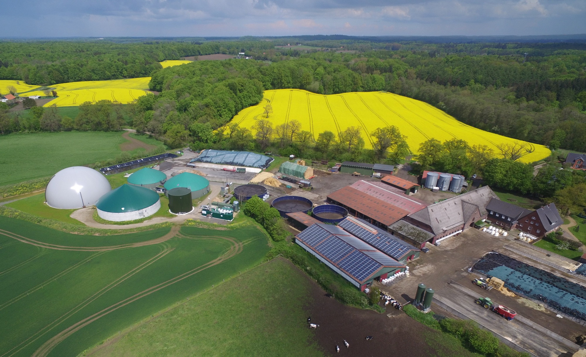 Bioenergie Hof Hörnsee GmbH & Co. KG – Bild 2
