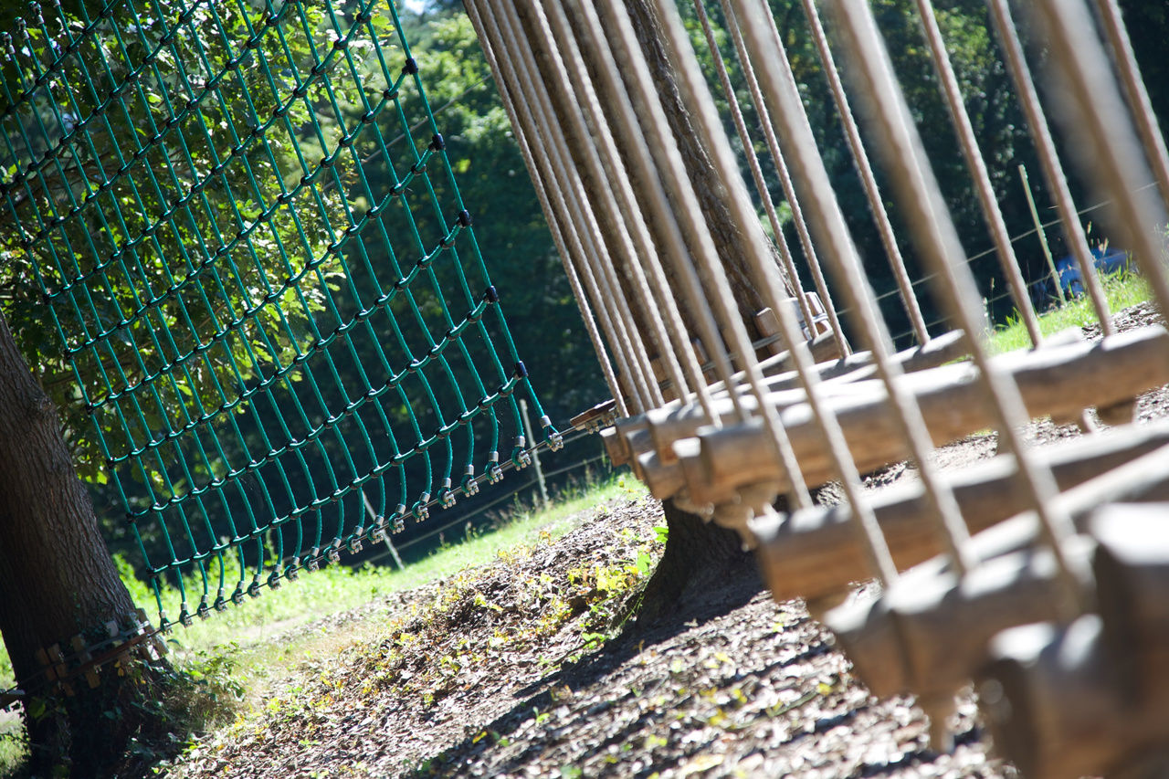 Niedrigseilgarten Jammertal – Bild 2