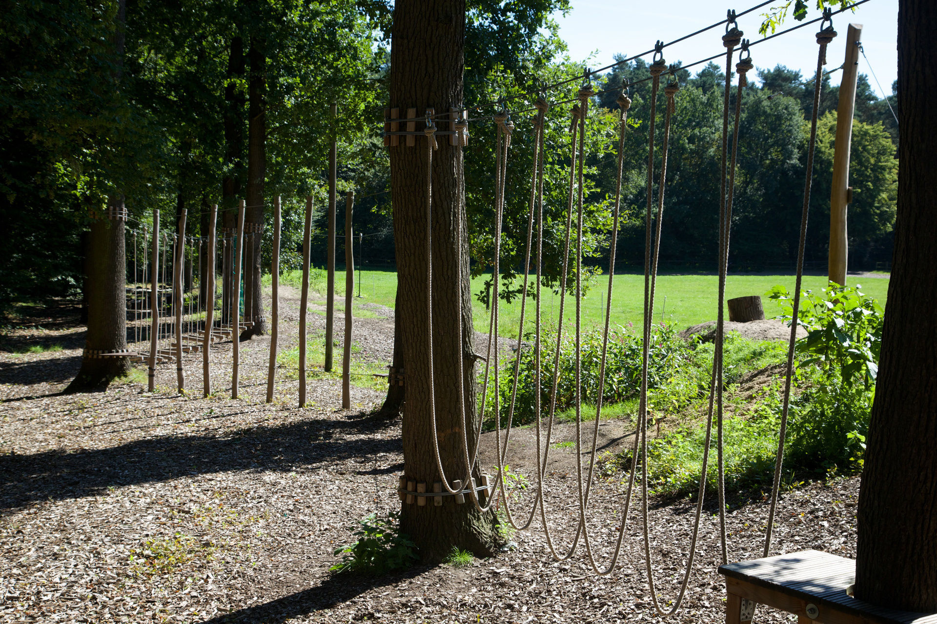 Niedrigseilgarten Jammertal – Bild 3