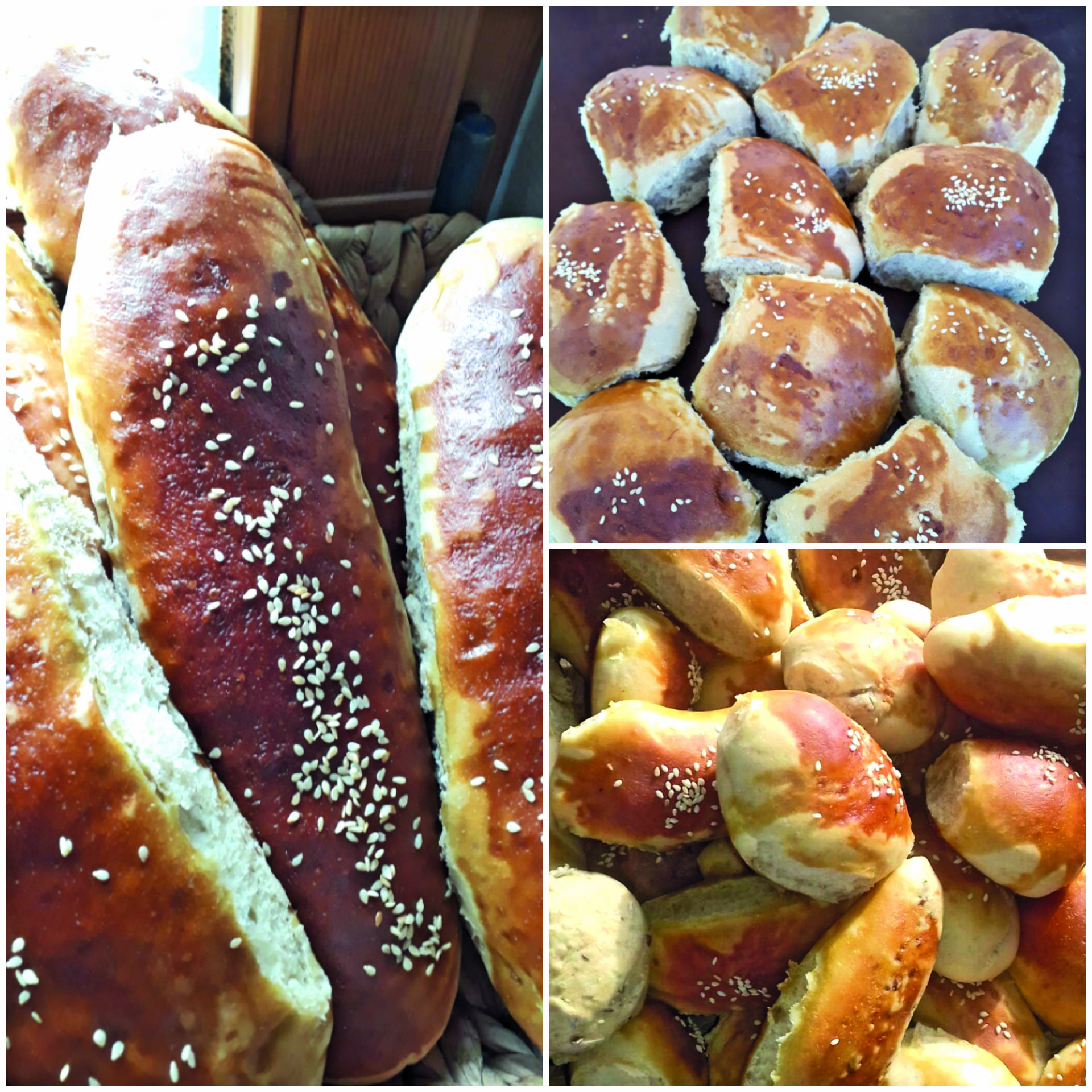 Traudl Hölle Seehoflaible GbR – Bild 3