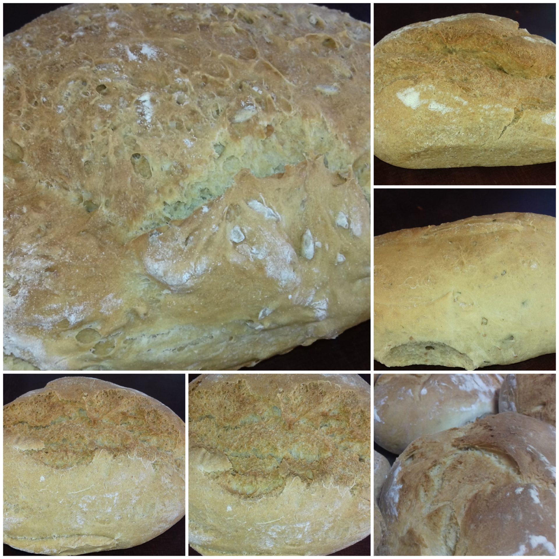 Traudl Hölle Seehoflaible GbR – Bild 5