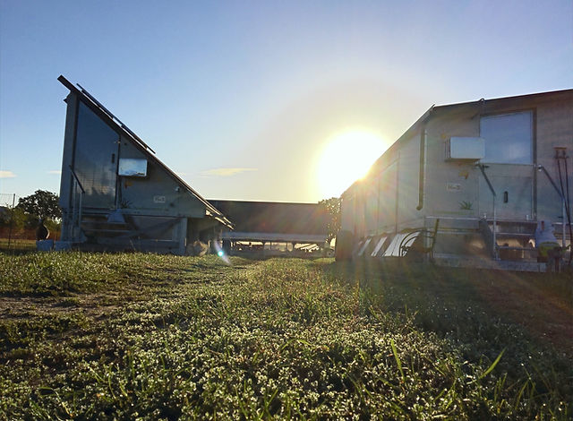 Hof Röhl – Bild 3