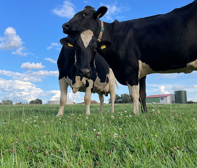 Hof Röhl – Bild 5