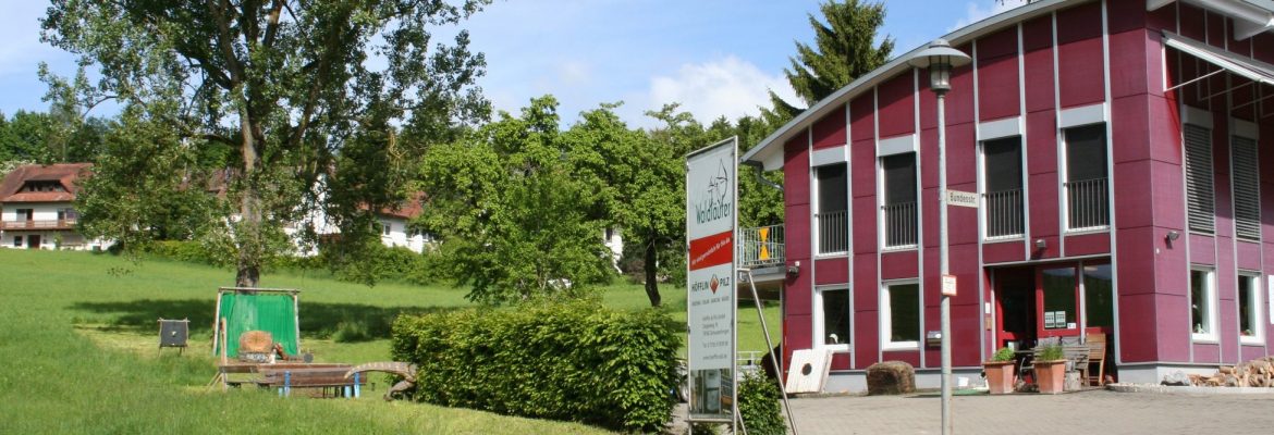 Der Waldläufer Bogensport – Bild 3