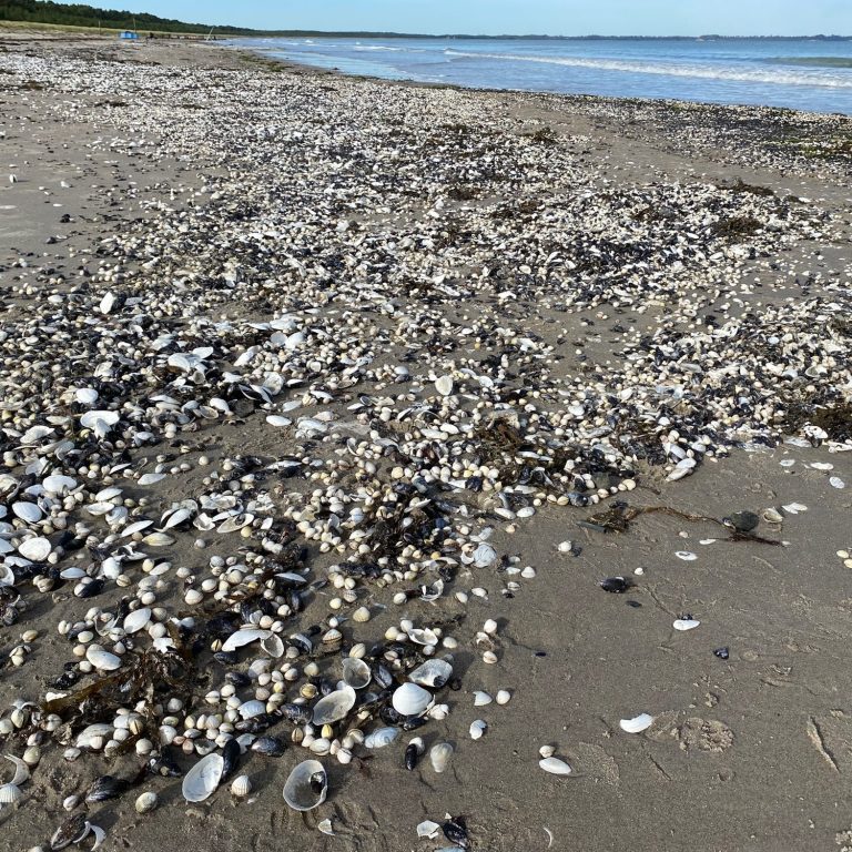 Kinder- und Jugendhilfehaus Lebensträume e.V. – Bild 2