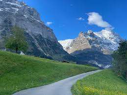 Vögeligärtli – Bild 6