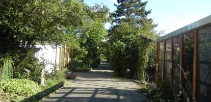 Vogelpark Stutensee-Friedrichstal – Bild 4