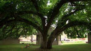 Hargrave Park – Bild 5