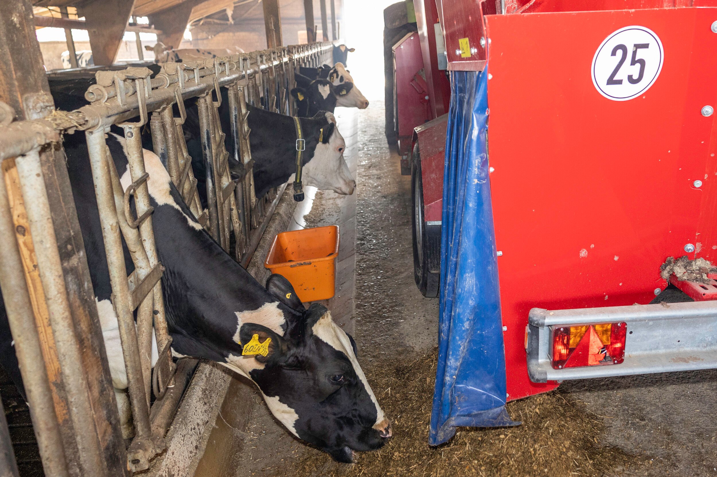 Bauernhof Dickhoven – Bild 3