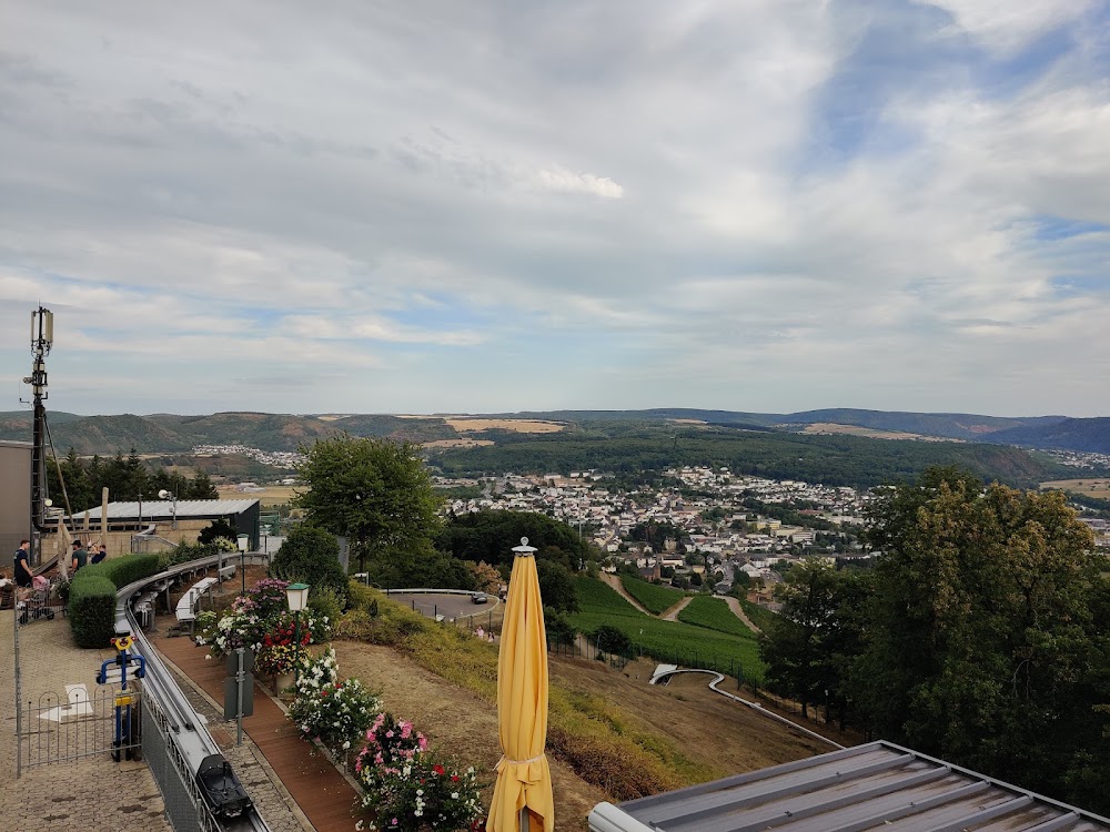 Kunoweiherhof, Urlaub auf dem BioBauernhof, Fam. Scheuer – Bild 4