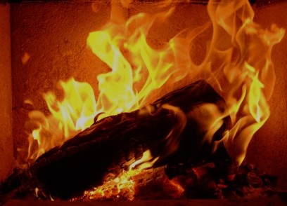 Kochs Kaminholz – Bild 1