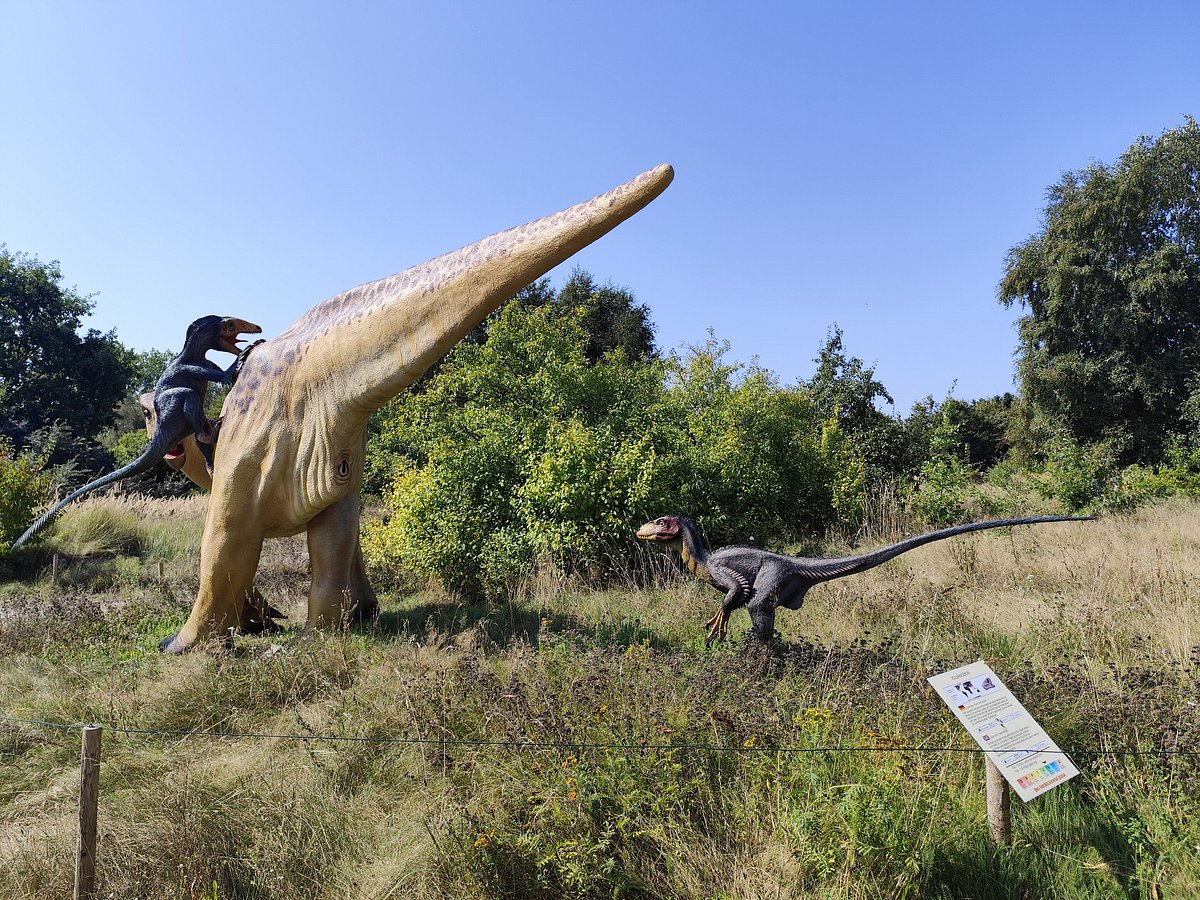 Dino-Park Mölschow – Bild 1