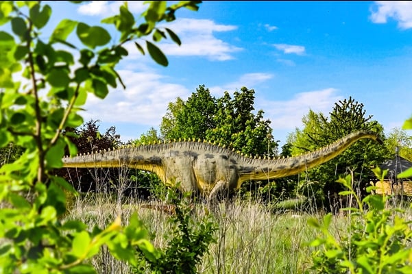 Dino-Park Mölschow – Bild 4