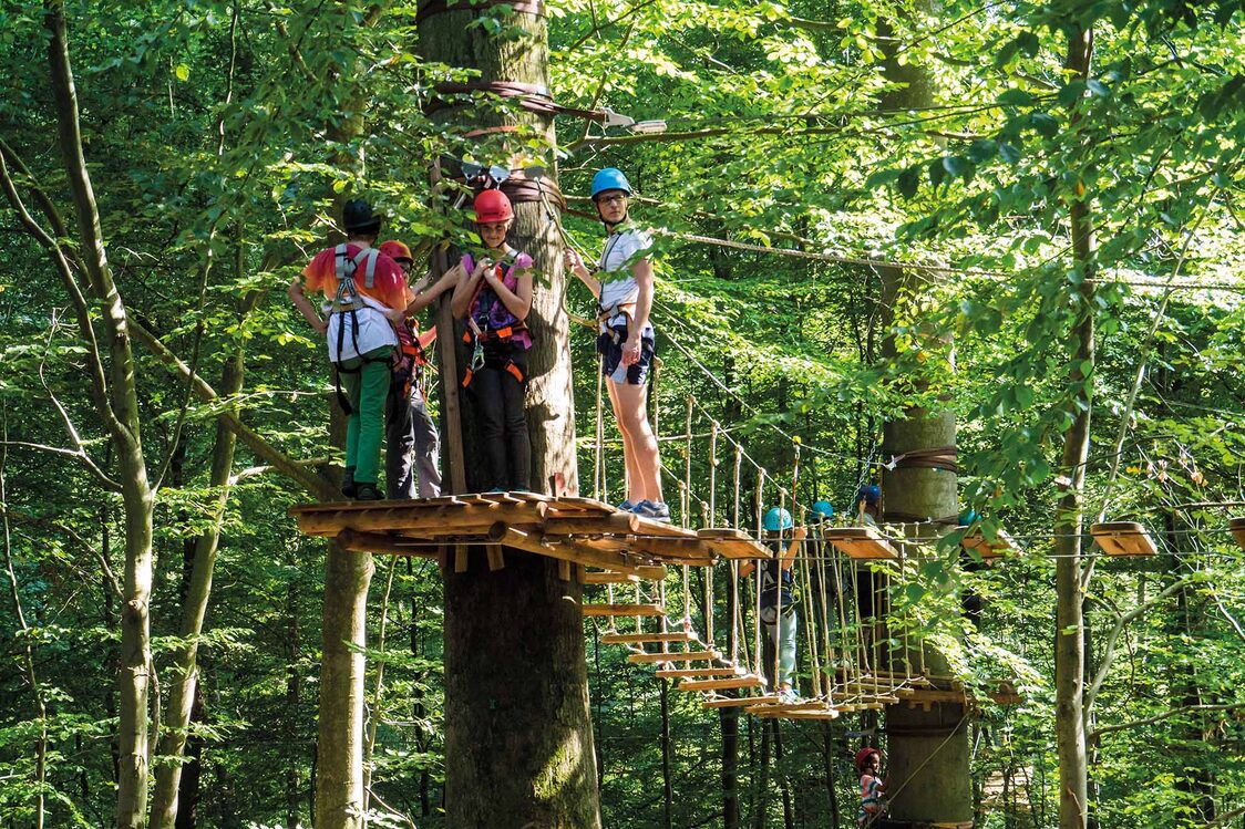 Kletterpark – Bild 2