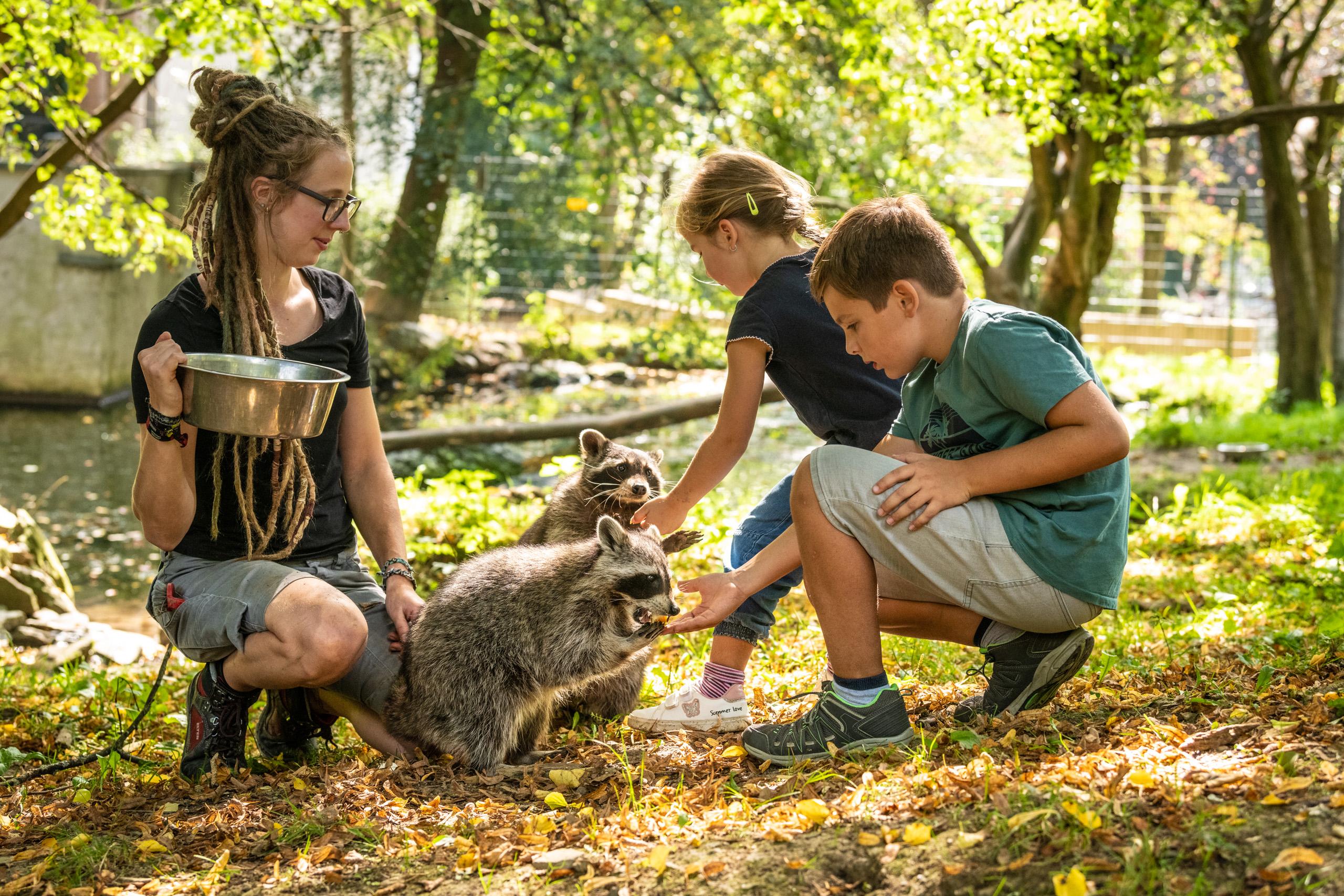 Tierpark Niederfischbach e.V. – Bild 1