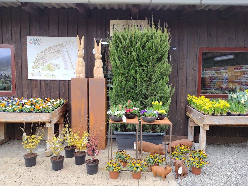 Clauss-Gemüse, Eglisenhof – Bild 4