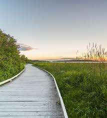 Ernest-Lepage Park – Bild 5