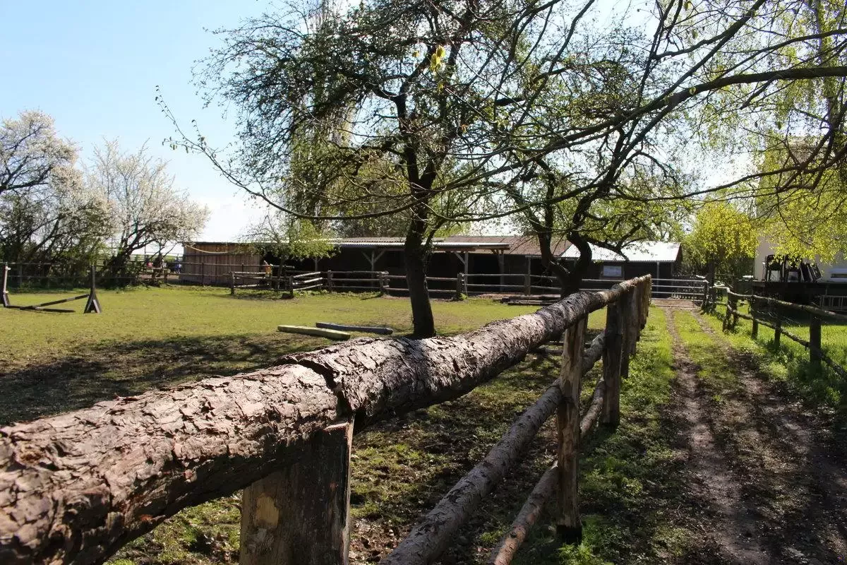 Landhaus Parsteinsee – Bild 3