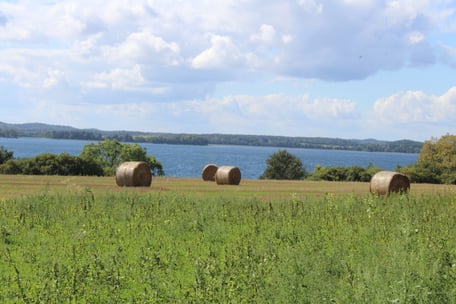 Landhaus Parsteinsee – Bild 4