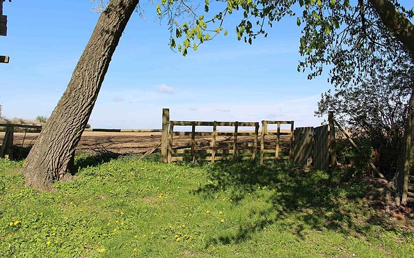 Landhaus Parsteinsee – Bild 6