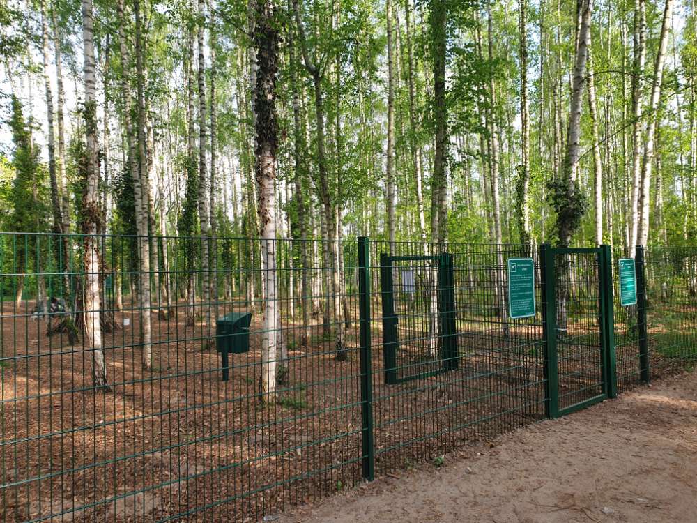 Hundeplatz Wildau – Bild 4