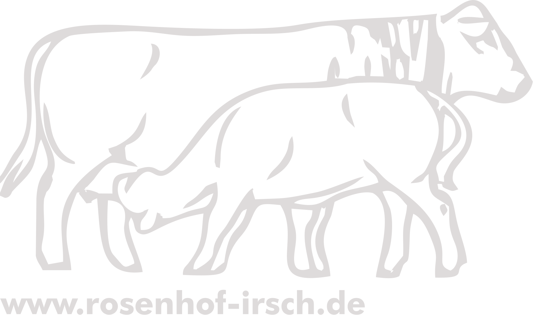 Rosenhof Irsch Scheurer – Bild 3